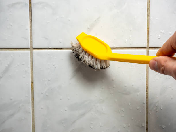 Best Certified Mold Removal  in Bellerose, NY