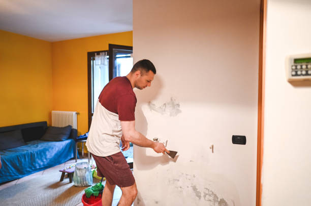 Best Local Mold Removal Service  in Bellerose, NY